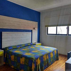 Suite Deluxe con Cama King